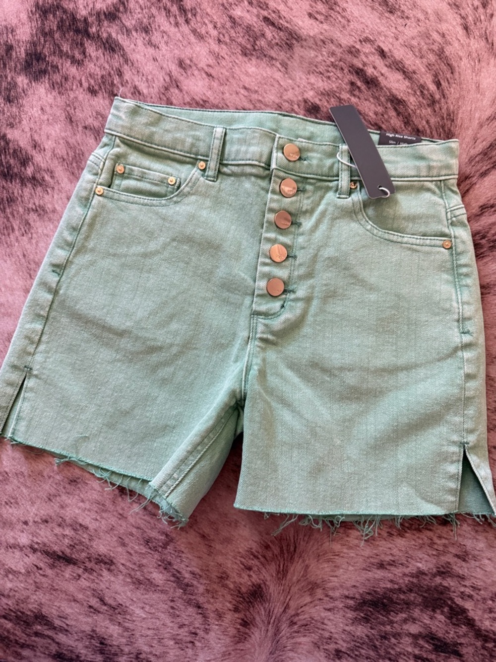 Tractr Mint Green High-Rise Button-Front Denim Shorts